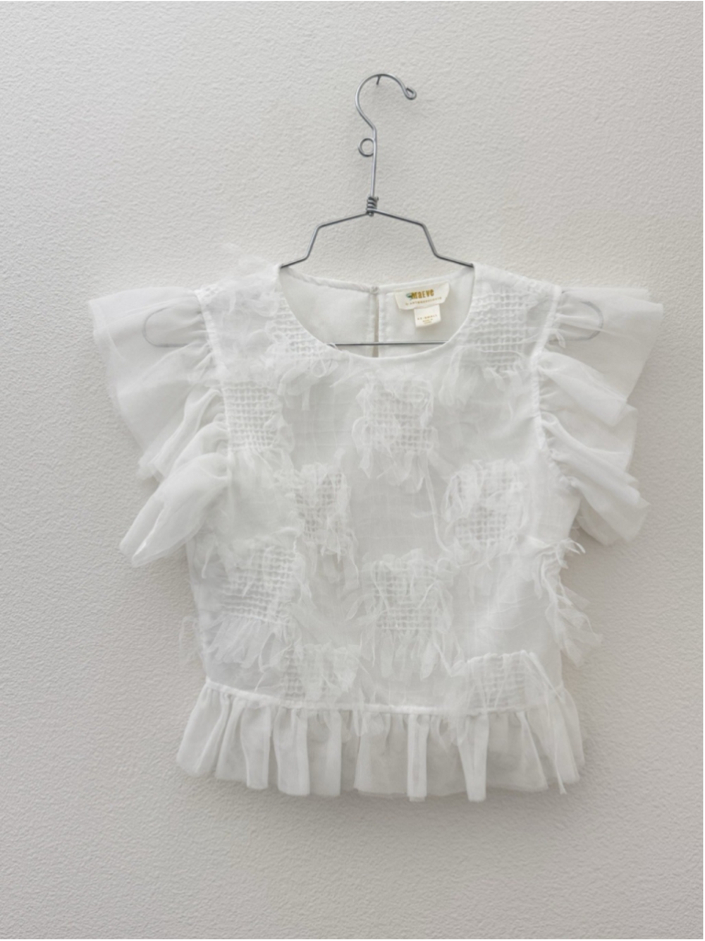 Maeve Anthropologie Ruffle Mesh Top Size XXS